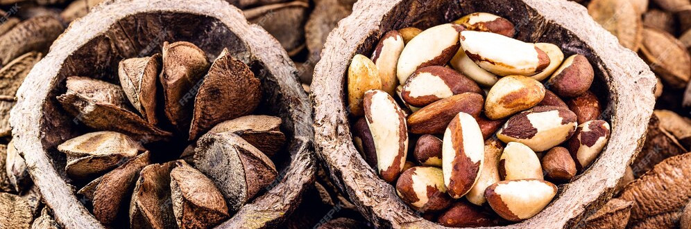 Descubra os benefícios da Castanha do Pará, um alimento rico em nutrientes, colhido de forma sustentável na Floresta Amazônica. Saiba como ela pode contribuir para a sua saúde e bem-estar!